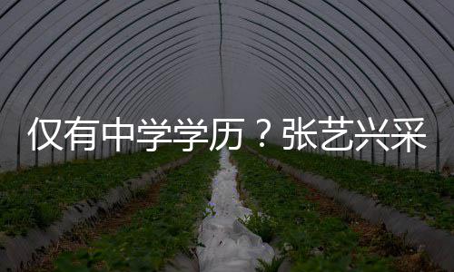 暴艺兴语无化水平伦次露文中学张学历采访仅有