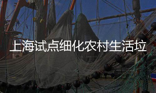 农村任制桶责垃圾细化上海试点生活
