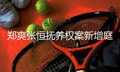 一小会议权案庭前郑爽张恒新增抚养 时时间为